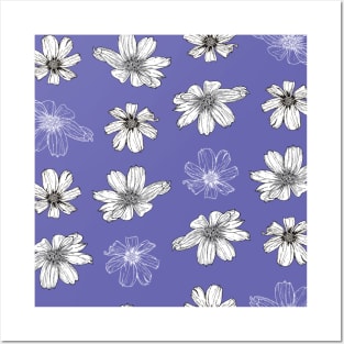 White Cosmos flowers on Very peri blue Posters and Art